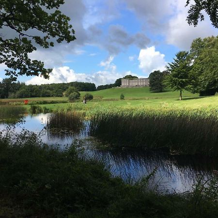 Curraghchase Cottage Kilcornan Esterno foto