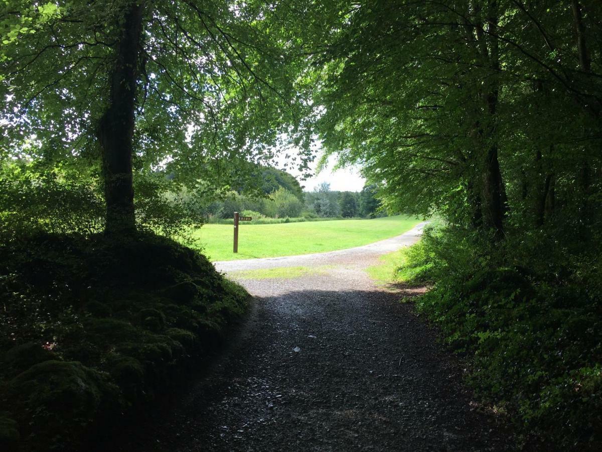 Curraghchase Cottage Kilcornan Esterno foto