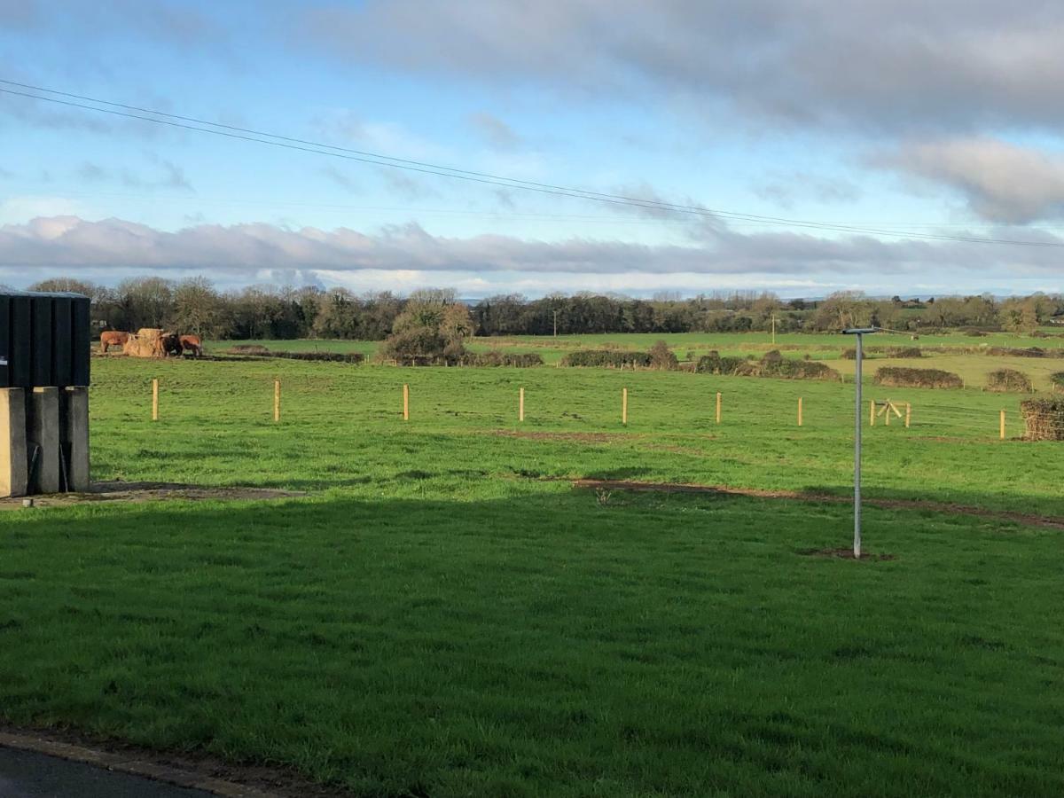 Curraghchase Cottage Kilcornan Esterno foto